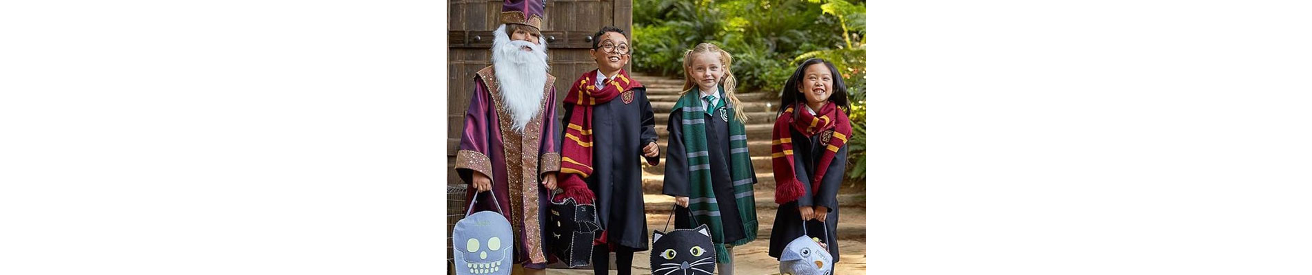 Harry Potter Cosplay Costumes